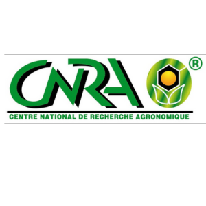 Logo-